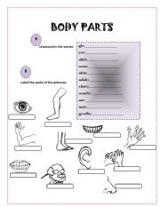 English Worksheet: Body Parts