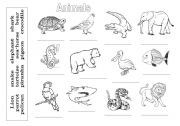 English Worksheet: Animals (birds, mammals, fishes)