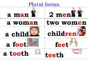 English Worksheet: plural