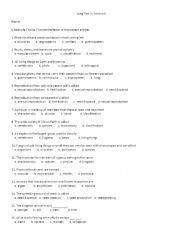 English Worksheet: Science