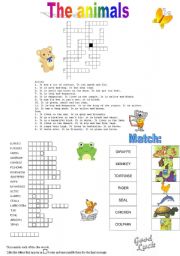 English Worksheet: THE ANIMALS