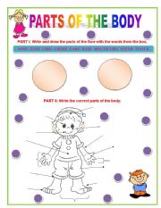 English Worksheet: Parts of the Body