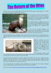 The Return of the Otter - Answer Key included