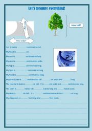 English Worksheet: Lets measure!