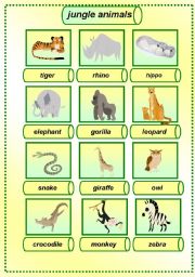 English Worksheet: jungle animals pictionary