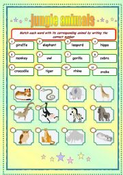 English Worksheet: jungle animals matching