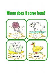 English Worksheet: Where does it come from?