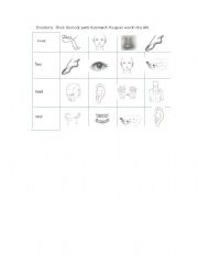 English Worksheet: Body parts