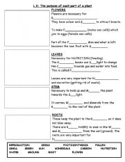 English worksheet: parts of the plant