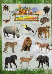 Wild animals - Poster 2