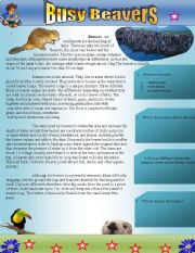 English Worksheet: Busy Beavers: Reading comprehension 