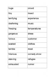 English worksheet: Adjectives