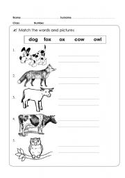 English worksheet: animal