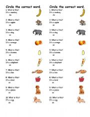 English Worksheet: a / an