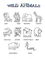 English Worksheet: Wild animals