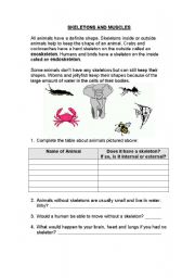 English worksheet: Muscles