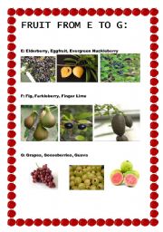 English Worksheet: FRUIT FROM E TO G