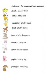 English Worksheet: A mini glossary of names of baby animals