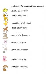 A mini glossary of names of baby animals