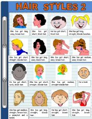 English Worksheet: HAIR STYLES