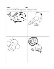 English worksheet: Animal homes