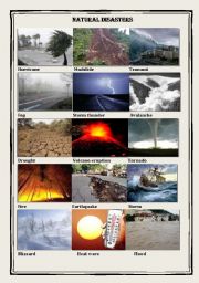 English Worksheet: Natural Disasters