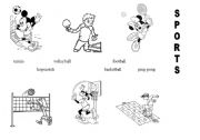 English worksheet: SPORTS