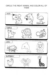 English Worksheet: Color the right animal