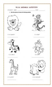 English Worksheet: wild animals