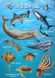 English Worksheet: Sea animals 1/2