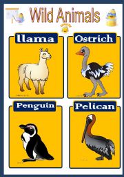 English Worksheet: WILD ANIMALS 5