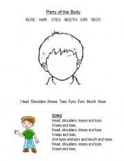 English worksheet: Face and Body