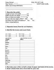 English Worksheet: Owl Pellets