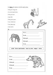 English Worksheet: Animal description