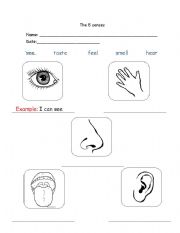 English Worksheet: The Five senses