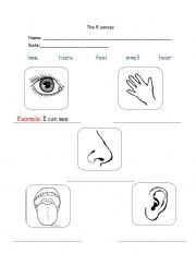 English worksheet: The Five senses