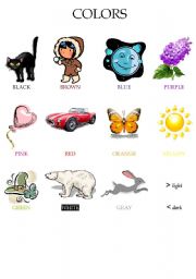 English Worksheet: colours