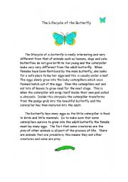 English Worksheet: butterfly life-cycle