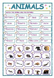 English Worksheet: MATCHING  EXERCISE - ANIMALS