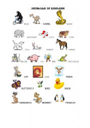 English worksheet: ANIMALS IN ENGLISH