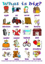 English Worksheet: What is big?: pictionaries, 2 versions with and without words. Instructions inside.