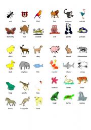 English Worksheet: Picture dictionary