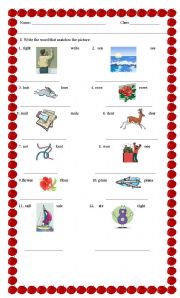 English Worksheet: Homophones