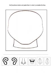 English Worksheet: Parts of the face