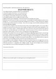 English worksheet: Summarising