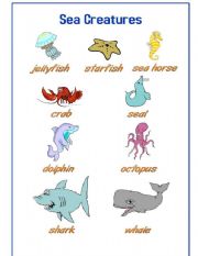 English Worksheet: Sea Creatures Pictionary