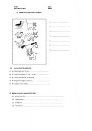 English worksheet: animals-can