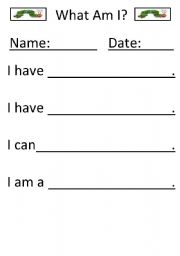 English Worksheet: The Very Hungry Caterpillar What Am I?