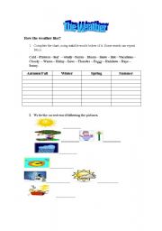 English Worksheet: the weather