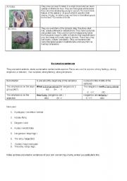 English Worksheet: Strange Australian animals : PART 2